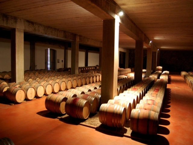 The barricaia at Marchesi di Grésy cellars