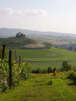 This is my beautiful land...