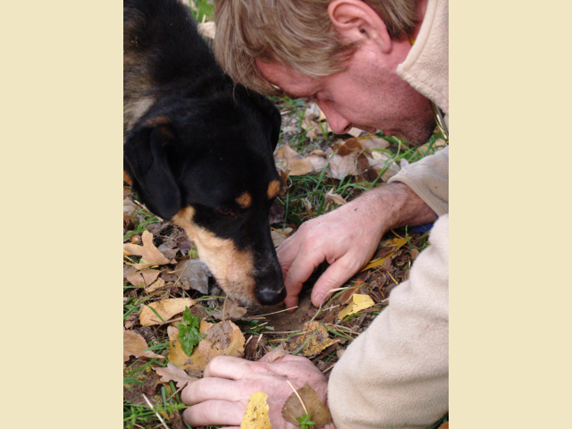 The magic of the truffle hunt...